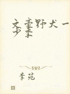 文豪野犬一共多少季