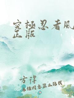 究极忍者风暴4正版