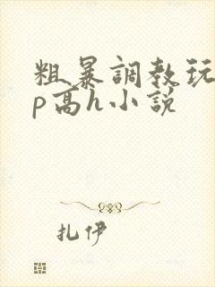 粗暴调教玩弄np高h小说