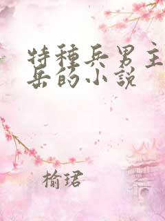 特种兵男主燕破岳的小说