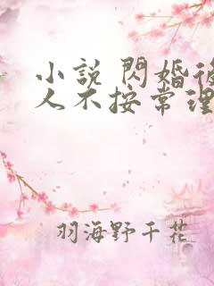 小说 闪婚后夫人不按常理出牌