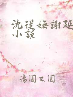 沈从妩谢延东的小说