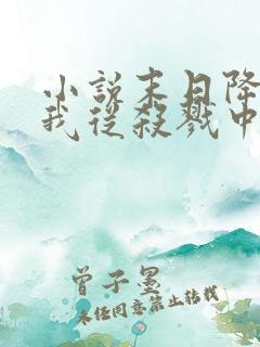 小说末日降临,我从杀戮中崛起林枫