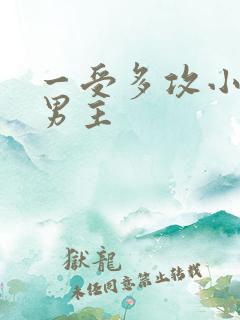 一受多攻小说双男主