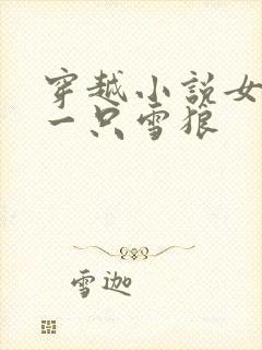 穿越小说女主有一只雪狼