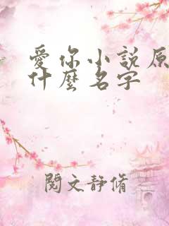 爱你小说原著叫什么名字