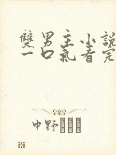 双男主小说完结一口气看完