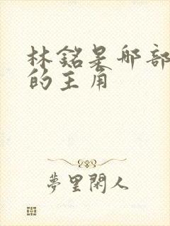 林铭是哪部小说的主角