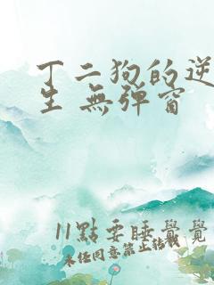 丁二狗的逆袭人生 无弹窗