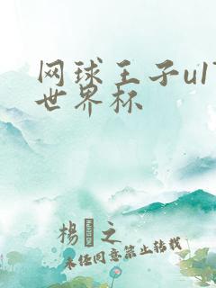 网球王子u17世界杯