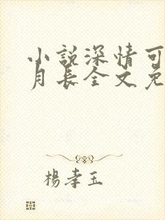 小说深情可抵岁月长全文免费阅读