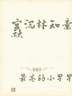 宫沉林知意宋婉秋