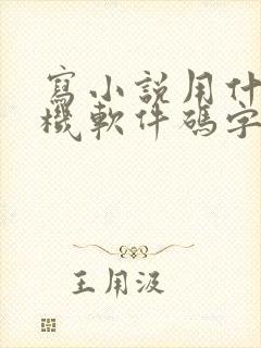 写小说用什么手机软件码字