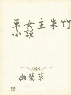 单女主朱竹清的小说