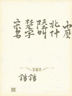 宋楚陆北山小说名字叫什么