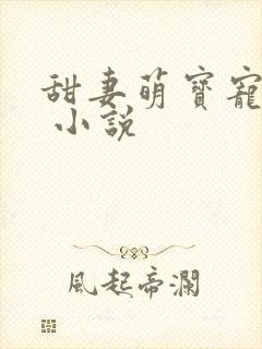 甜妻萌宝宠上天 小说