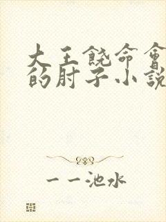 大王饶命会说话的肘子小说未删减版