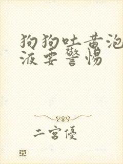 狗狗吐黄泡沫粘液要警惕