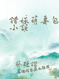 错嫁萌妻包甜的小说