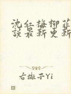 沈红梅柳菲菲小说最新更新章节