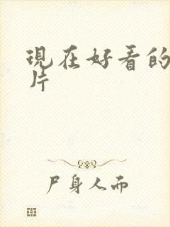 现在好看的动画片