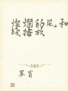 灿烂的风和海在线播放