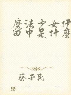 魔法少女伊莉雅田中是什么身份