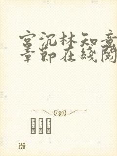 宫沉林知意最新章节在线阅读