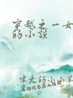 穿越之一女多夫的小说