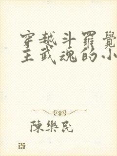 穿越斗罗觉醒圣主武魂的小说