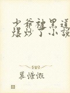 少爷被黑道大佬爆炒了小说