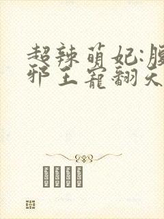 超辣萌妃:腹黑邪王宠翻天