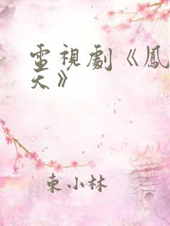 电视剧《凤唳九天》