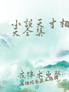 小说天才相师叶天全集