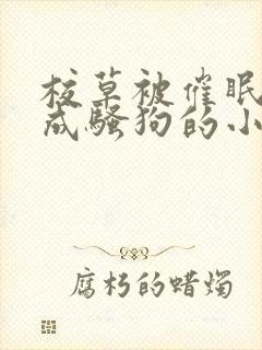 校草被催眠洗脑成骚狗的小说