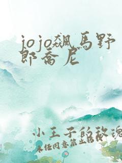 jojo飙马野郎乔尼