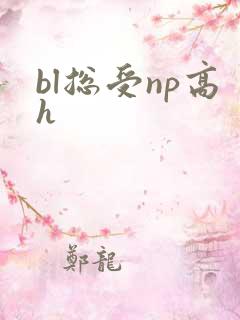 bl总受np高h