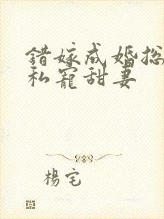 错嫁成婚总裁的私宠甜妻