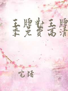 王牌对王牌第6季免费高清完整版