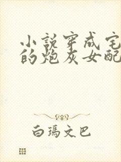 小说穿成宅斗文的炮灰女配后