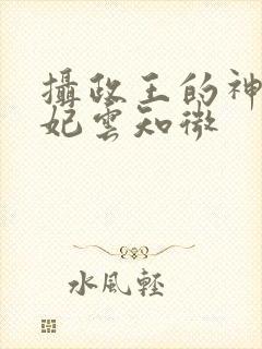 摄政王的神医毒妃云知微