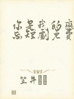 你是我的恋恋不忘短剧免费观看全集高清