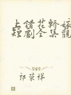 上错花轿嫁王爷短剧全集观看