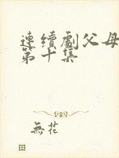 连续剧父母爱情第十集