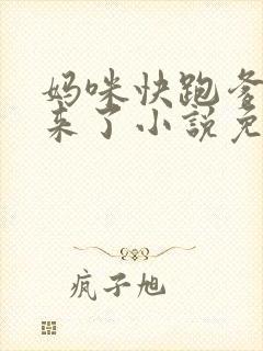 妈咪快跑爹地追来了小说免费阅读