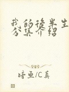 我的后半生剧情分集介绍