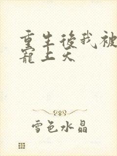 重生后我被大佬宠上天