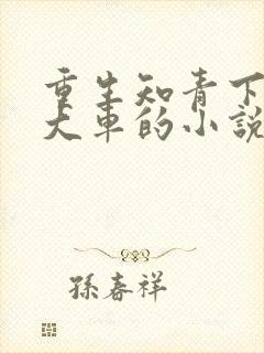 重生知青下乡赶大车的小说最新章节