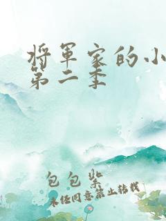 将军家的小娘子第二季