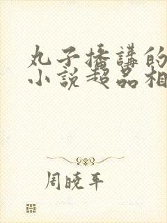 丸子播讲的长篇小说超品相师